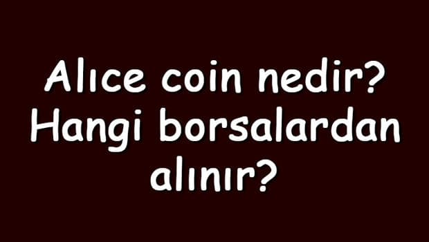 Alıce coin nedir? Hangi borsalardan alınır? Myneighboralice ne zaman çıktı? Ne iş yapar?